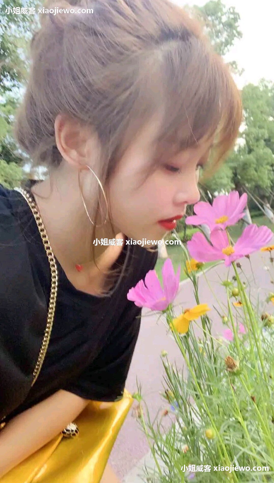 xiaojiewo.comСְ¥˻ζ